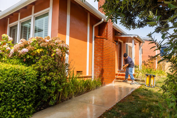 Best Deck Cleaning Services  in Burwell, NE