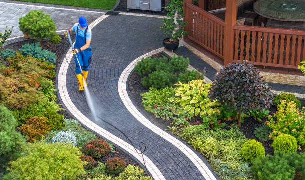Best Deck Cleaning Services  in Burwell, NE